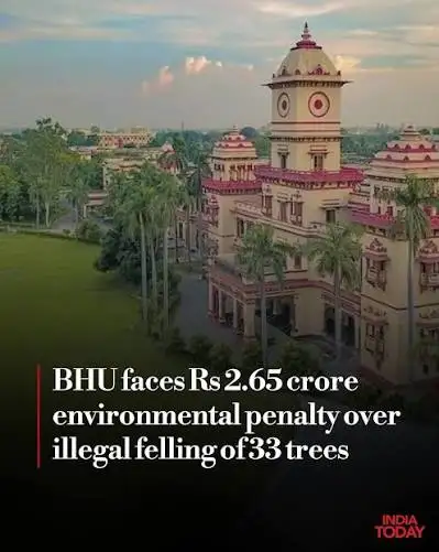 BHU Tree Felling Case - NGT ₹2.65 Crores Compensation Order - Adv. Saurabh Tiwari